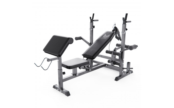 Скамья со стойками под штангу DFC GYRONETICS GN008 с партой для бицепса Скамья со стойками под штангу DFC GYRONETICS GN008 с партой для бицепса