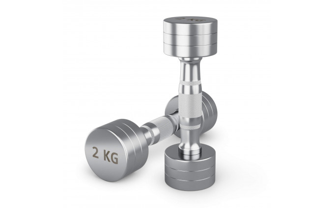 Гантель UNIX Fit PRO круглая хромированная 2 кг, 2 шт.